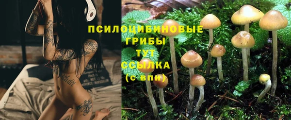 прущая мука Алзамай