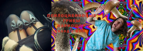 метадон Алексин