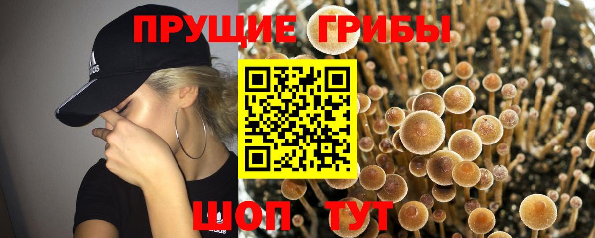 Псилоцибиновые грибы мухоморы Ленинск-Кузнецкий